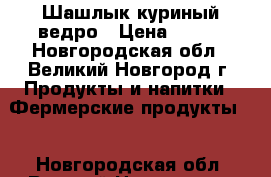 Шашлык куриный ведро › Цена ­ 450 - Новгородская обл., Великий Новгород г. Продукты и напитки » Фермерские продукты   . Новгородская обл.,Великий Новгород г.